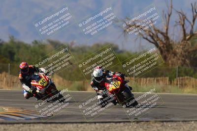 media/Oct-07-2023-CVMA (Sat) [[f84d08e330]]/Race 12 Amateur Supersport Open/